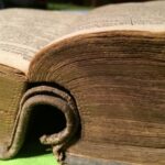 big_0428e2838fb286a1b0c73d9ea6533826