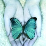 tmb_0fd2462d78d62b3eaedb7d8c1e228131