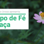 Captura de tela 2020-11-25 15.39.39