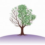 IECLB-Árvore da vida