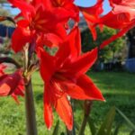 big_3c32ae7379f288111e2282273b8848e0