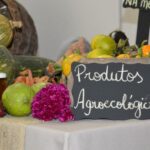 Campanha Comida Boa na Mesa