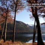 Meditação do Pastor Jonas Ronei Gunsch_Imagem