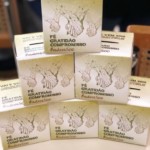 Assembleia Sinodal 2018 (1).