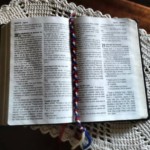 Euclécio Schieck-01