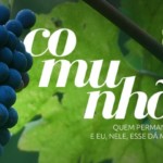 Encontros Setoriais da OASE