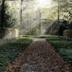 Ewigkeitssonntag_by_Bernd_Kasper_pixelio