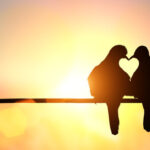 big_af881e348c834ac70894635dfe50481c