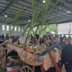 big_cedf86a184c105befa31a19768cee14b