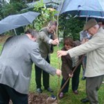 Árvore plantada em 09/07/2010