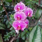 big_f0570a8c79394c7cce994aad2f131c0f