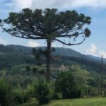 WhatsApp Image 2024-02-08 at 11.10.44.