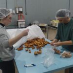 Sínodo Nordestes Gaúcho - Enchentes 2024