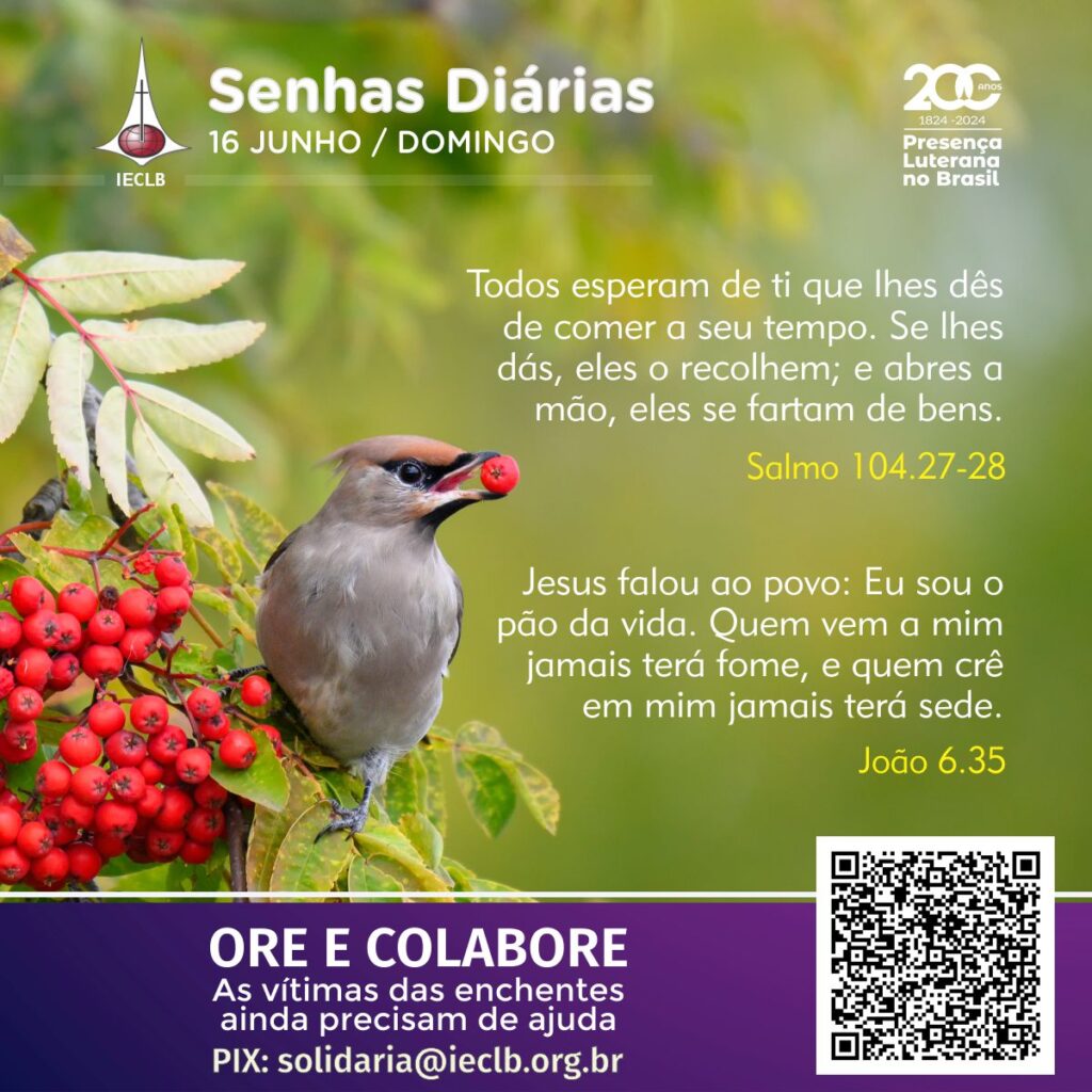 Senhas Diárias 16 06 2024