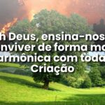harmonia na criação de Deus